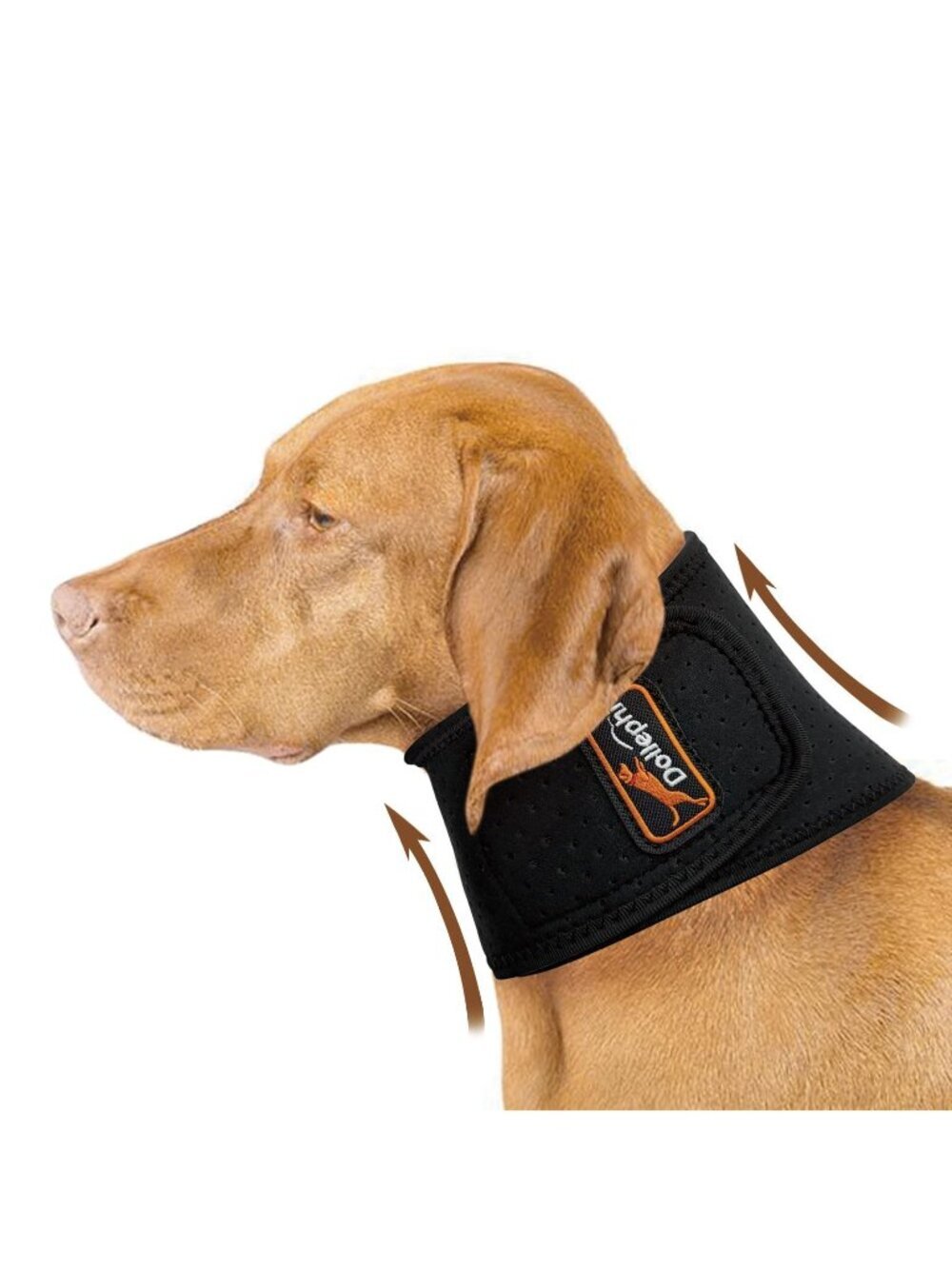 Dollephi "L" Dog Neck Brace with Hot/Cold Compress,Cervical Spine Support Collar